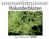 Holunderblüten - Bild 1