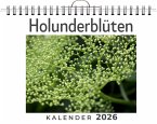 Holunderblüten
