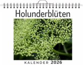Holunderblüten