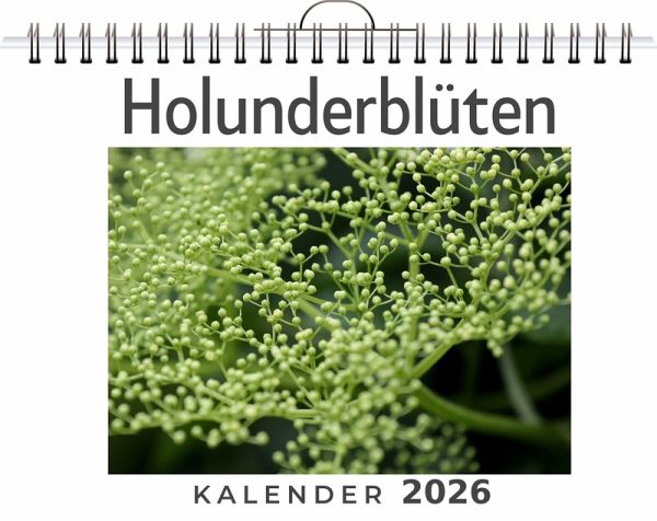Holunderblüten Holunderblüten