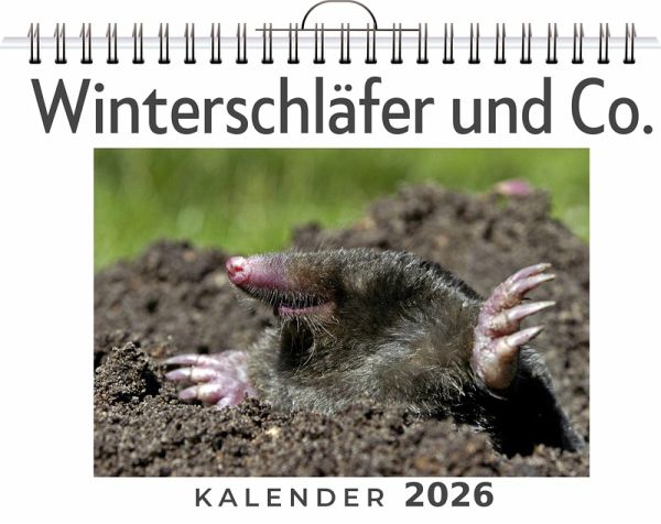 Winterschläfer und Co.