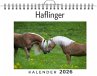 Haflinger - Bild 1