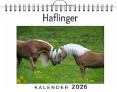 Haflinger