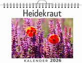 Heidekraut Heidekraut