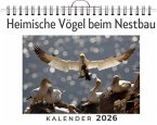 Heimische Vögel beim Nestbau Heimische Vögel beim Nestbau
