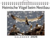 Heimische Vögel beim Nestbau
