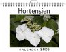 Hortensien - Bild 1