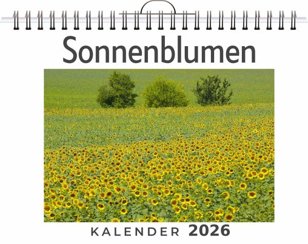 Sonnenblumen