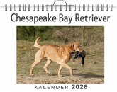 Chesapeake Bay Retriever