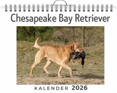 Cover Chesapeake Bay Retriever