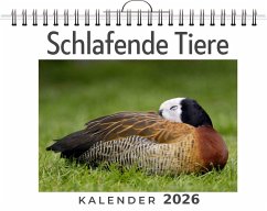 Schlafende Tiere - Schäfer, Max