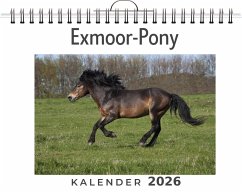 Exmoor-Pony Cover Exmoor-Pony