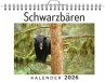 Schwarzbären - Bild 1