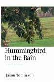 Hummingbird in the Rain Hummingbird in the Rain