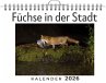 Füchse in der Stadt - Bild 1