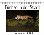 Füchse in der Stadt Füchse in der Stadt