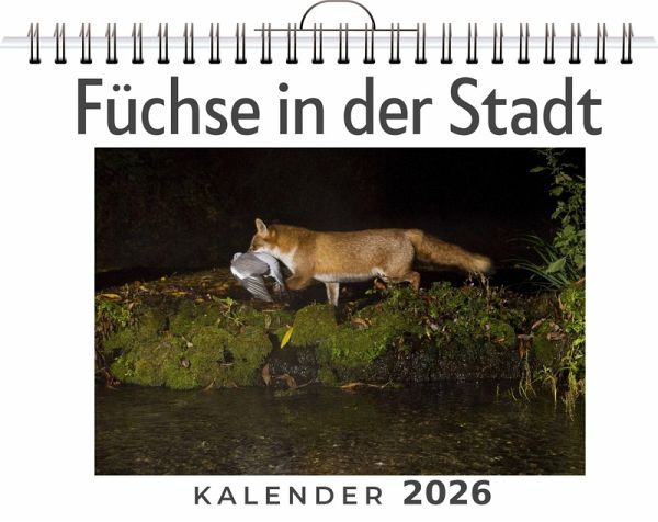 Füchse in der Stadt