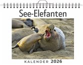 See-Elefanten