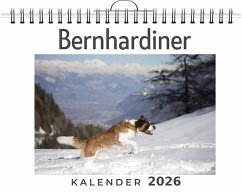 Cover Bernhardiner