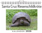 Santa Cruz Riesenschildkröte