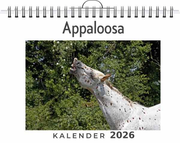 Appaloosa Appaloosa