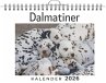 Dalmatiner - Bild 1