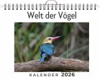 Welt der Vögel