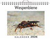 Wespenbiene