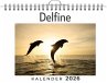 Delfine - Bild 1