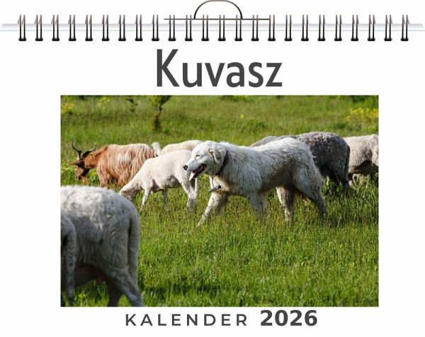 Kuvasz