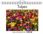Tulpen