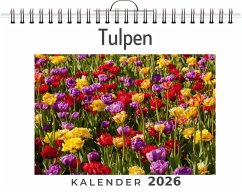 Cover Tulpen