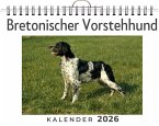 Bretonischer Vorstehhund Bretonischer Vorstehhund