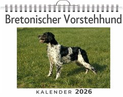 Cover Bretonischer Vorstehhund