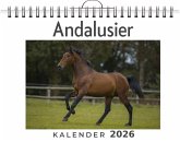 Andalusier