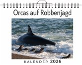 Orcas auf Robbenjagd
