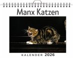 Manx Katzen Manx Katzen
