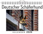 Deutscher Schäferhund