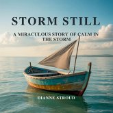 Storm Still Storm Still