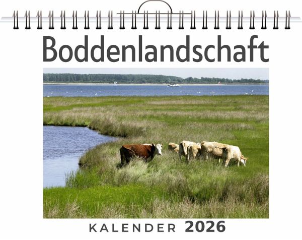 Boddenlandschaft