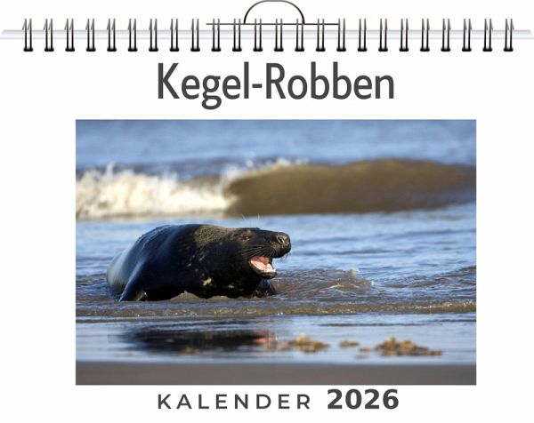 Kegel-Robben Kegel-Robben