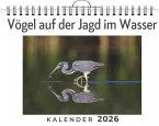 Vögel auf der Jagd im Wasser