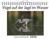 Vögel auf der Jagd im Wasser