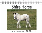 Shire Horse Shire Horse