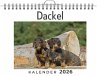 Dackel - Bild 1