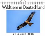 Wildtiere in Deutschland Wildtiere in Deutschland
