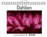 Dahlien - Bild 1