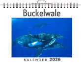 Buckelwale Buckelwale