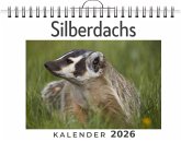 Silberdachs