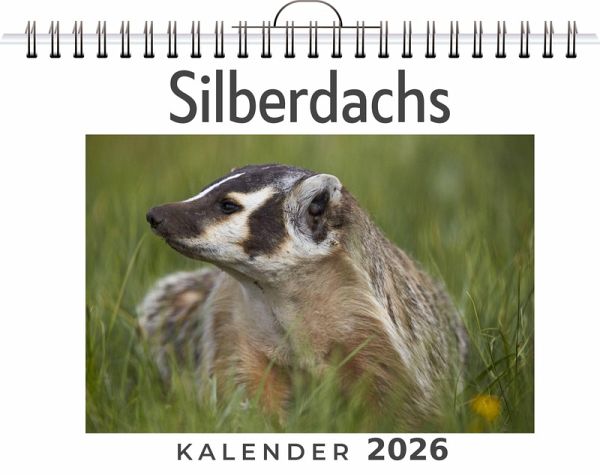 Silberdachs Silberdachs